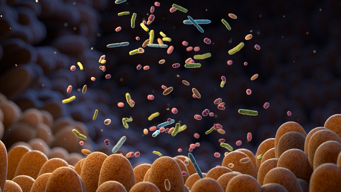 darmbakterien-mikrobiom-1458753557-sb