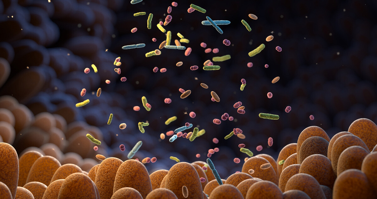 darmbakterien-mikrobiom-1458753557-sb