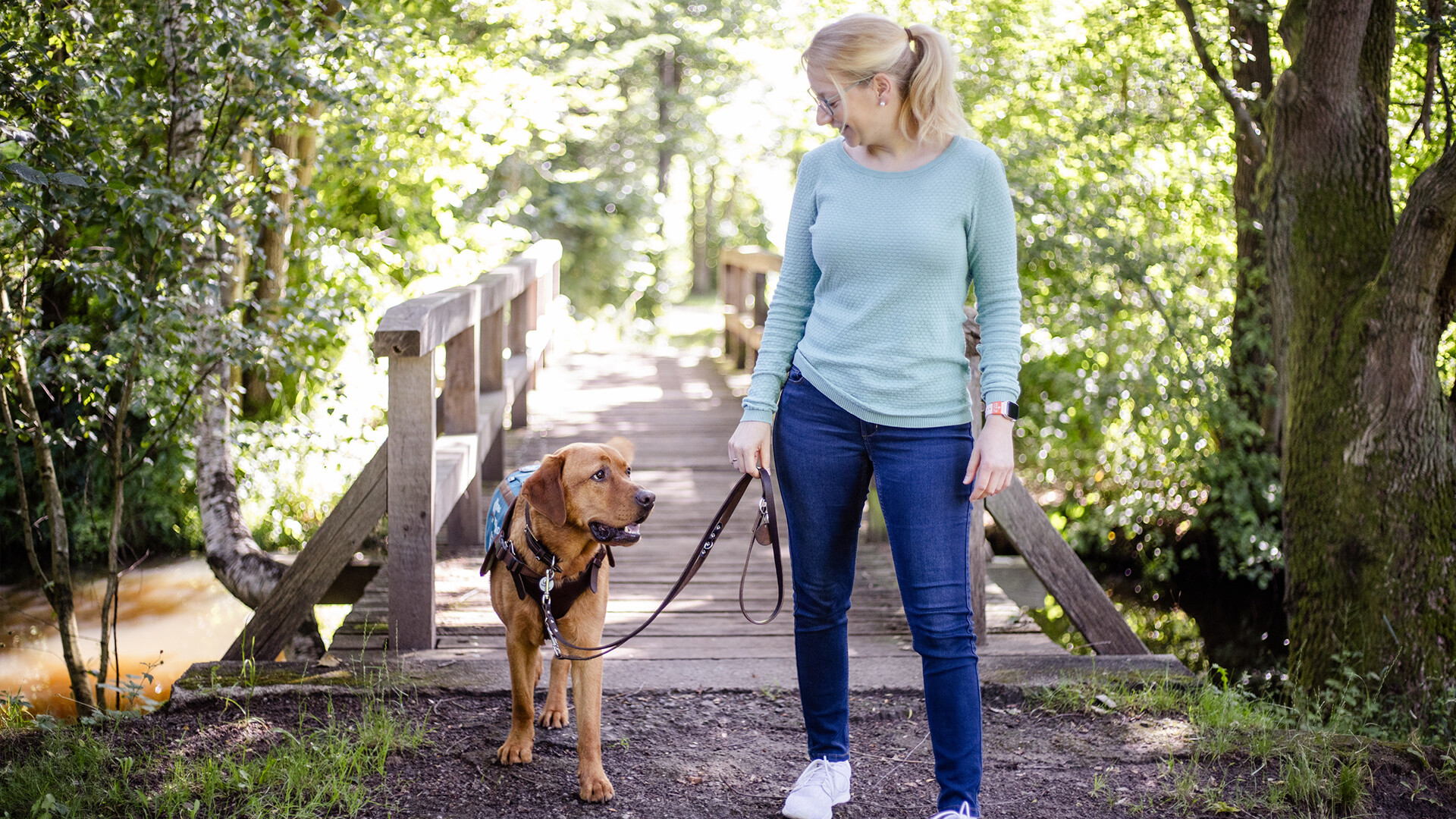 kardioassistenzhund-aufgabe-it