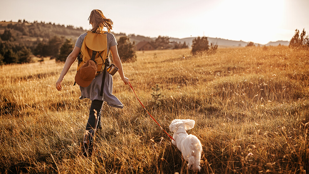 herzschrittmacher-patient-1267184671-t