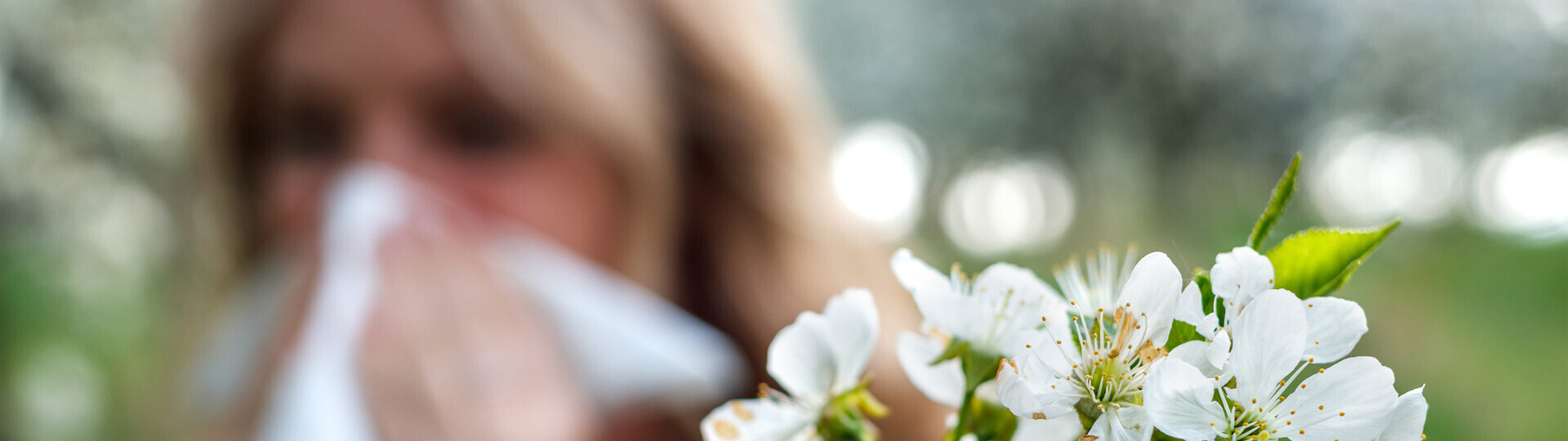 heuschnupfen-pollenallergie-1395962649-h