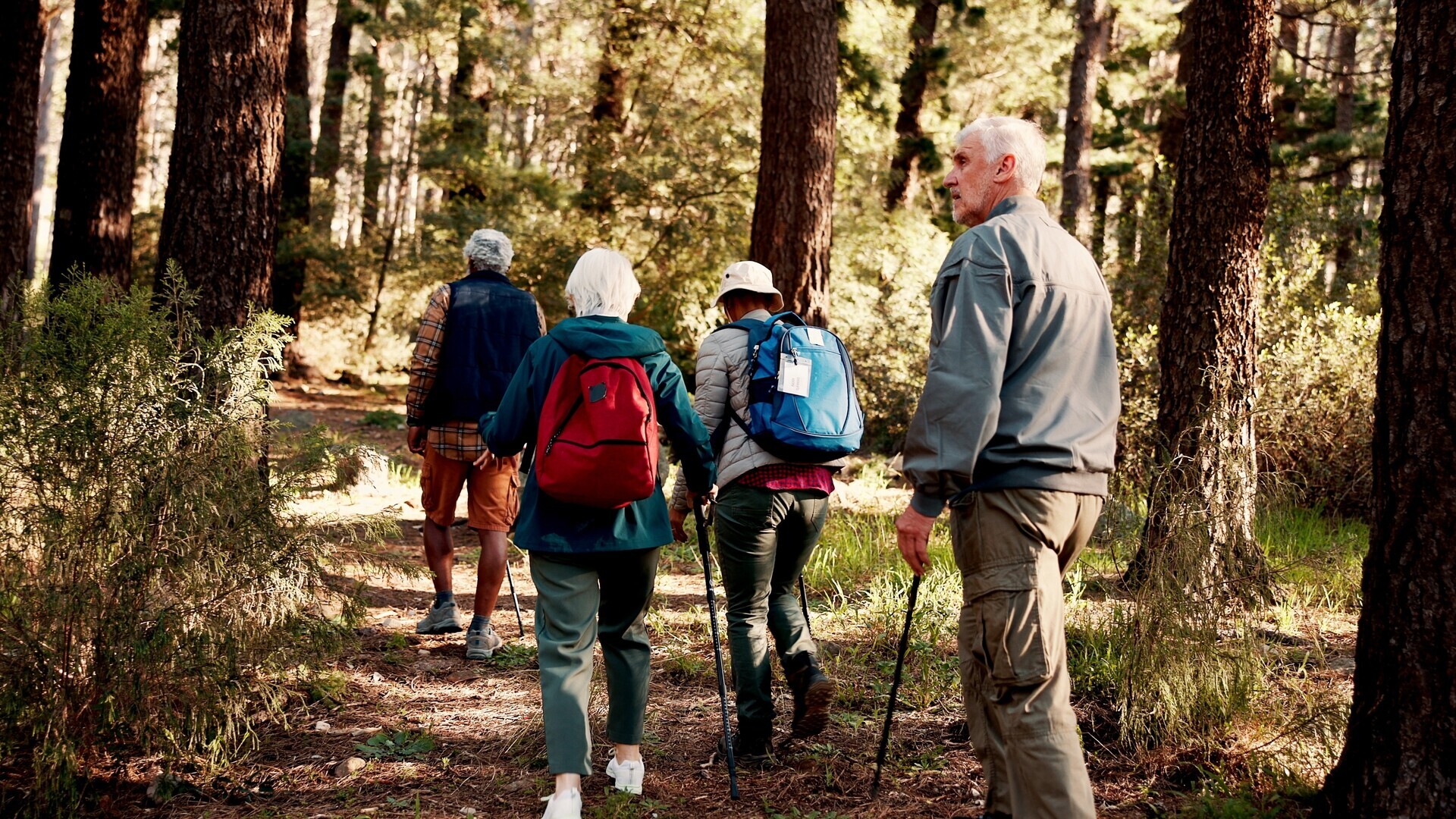 Ältere Menschen beim Wandern in der Natur
