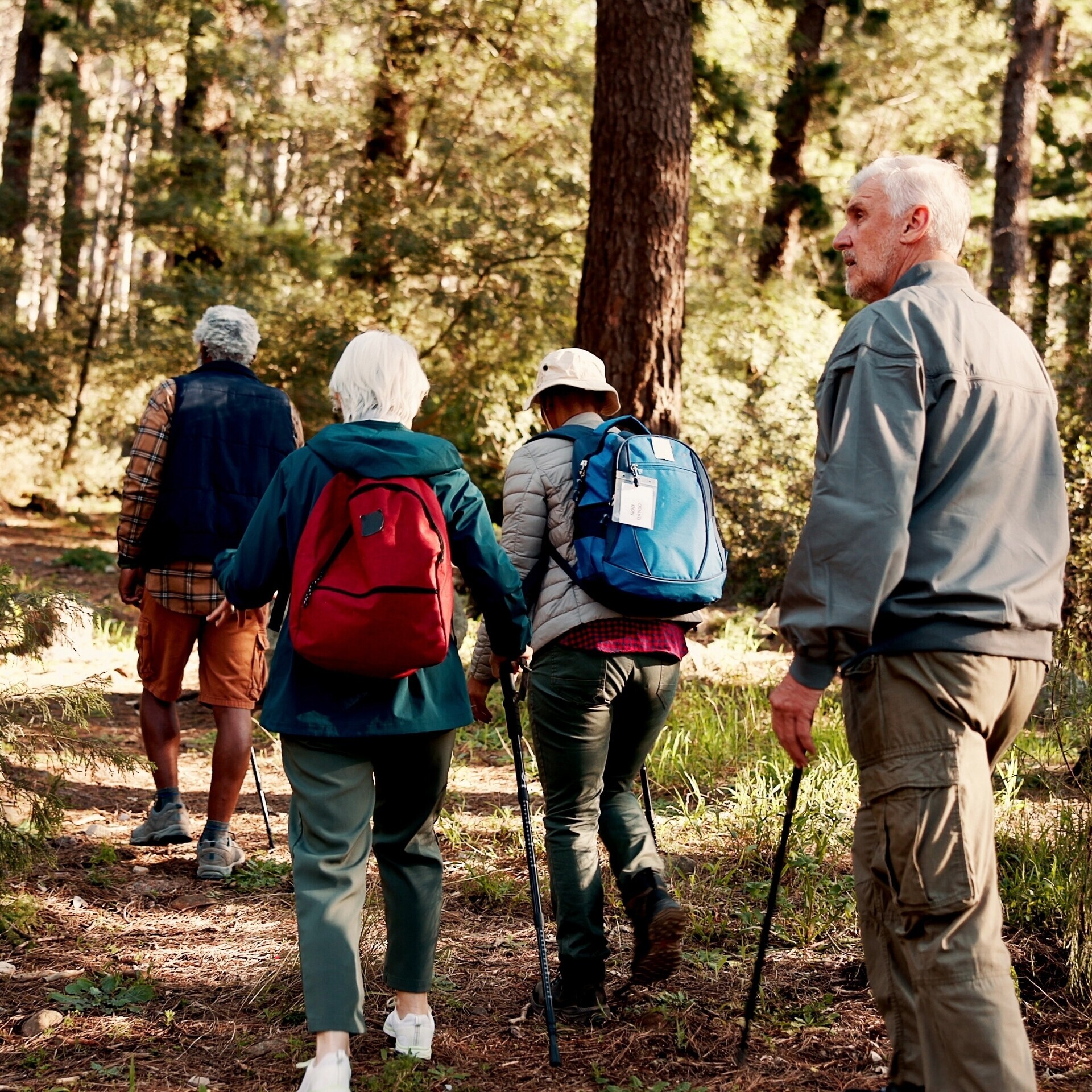 Ältere Menschen beim Wandern in der Natur