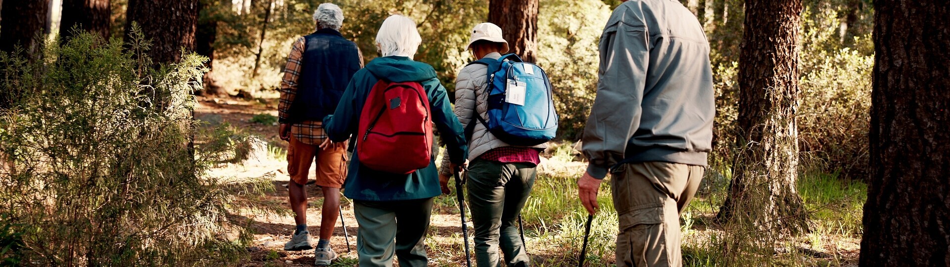 Ältere Menschen beim Wandern in der Natur