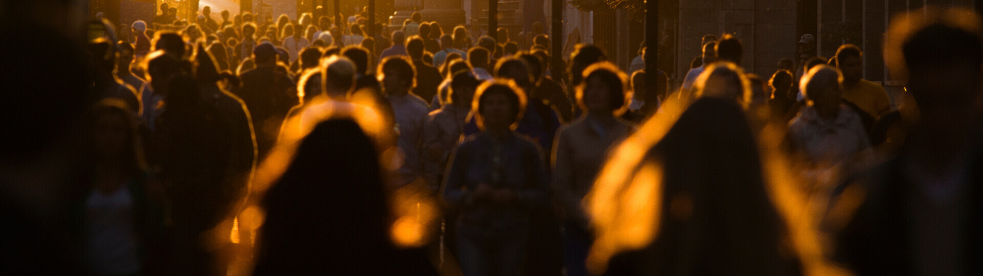 sommerhitze-23296294-h