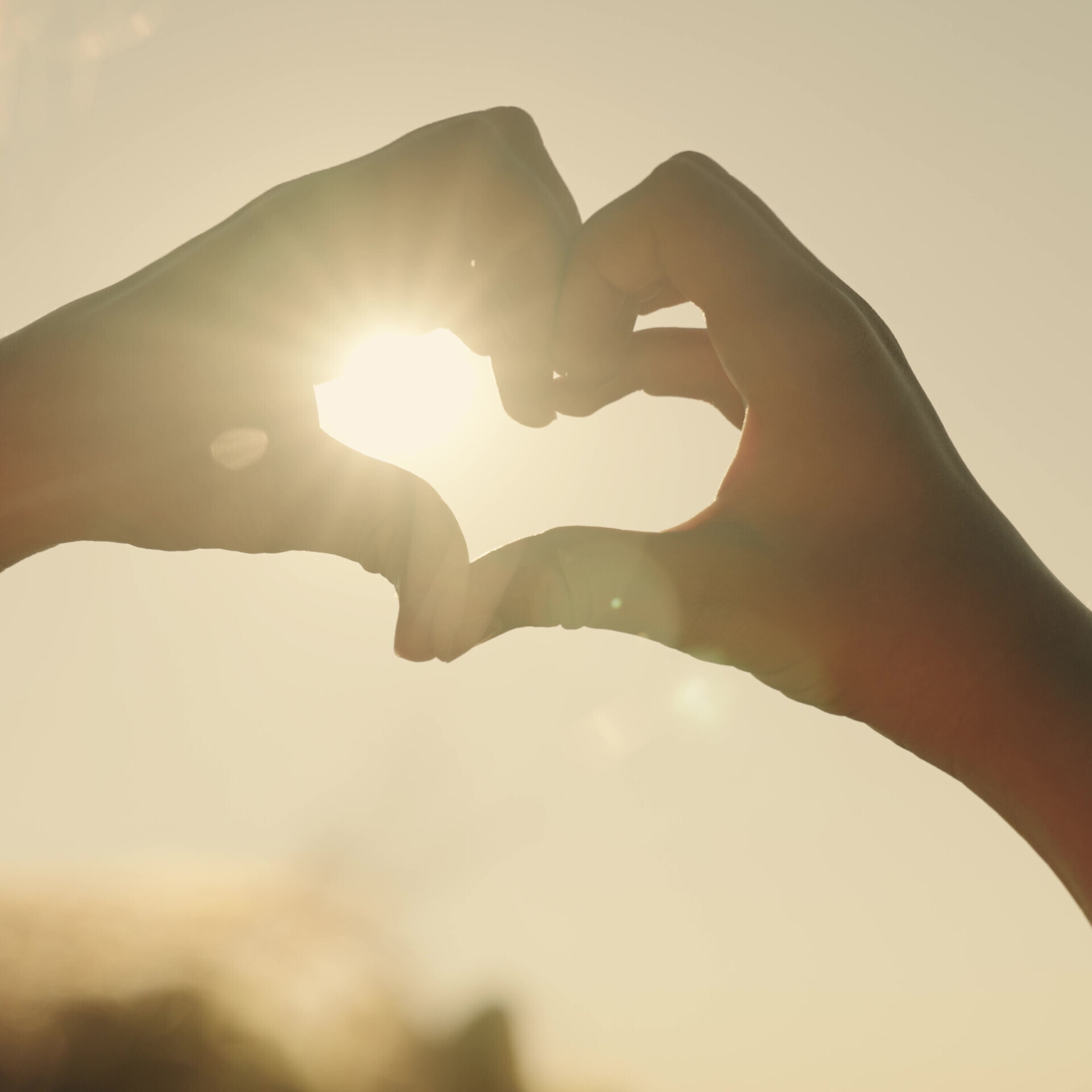 Hände formen ein Herz im Sonnenschein