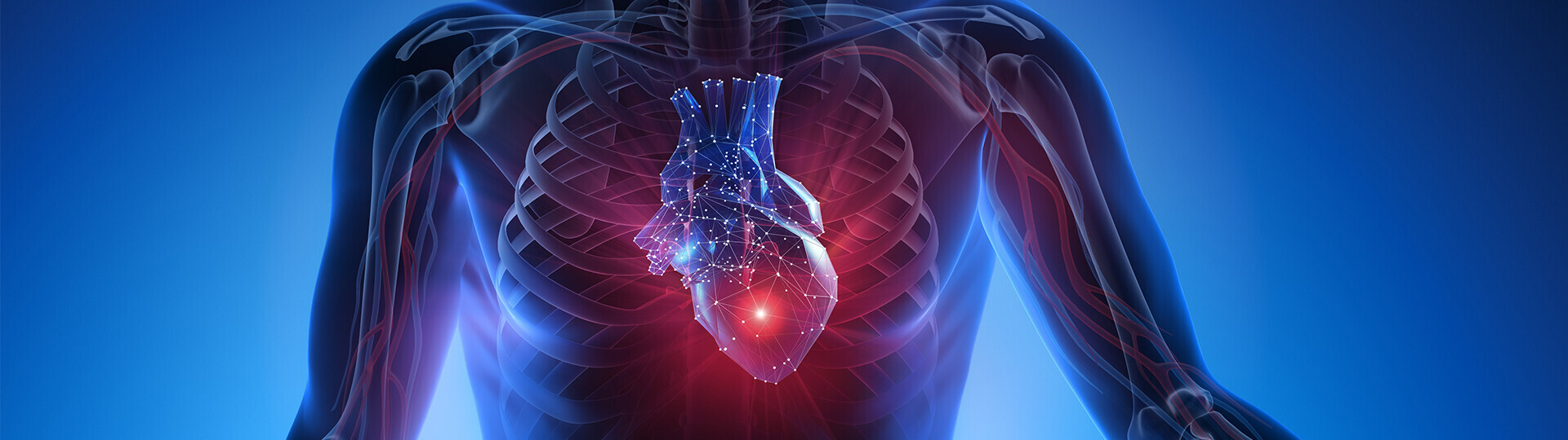 erregungsleitungssystem-strom-1254390242-h