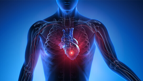 erregungsleitungssystem-strom-1254390242-t