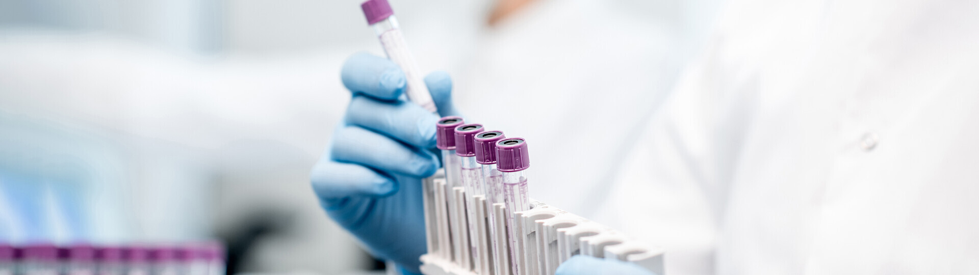 translation-forschung-946264212-h