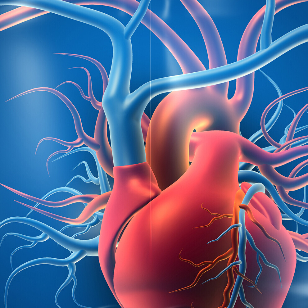 aorta-1266230179_Header