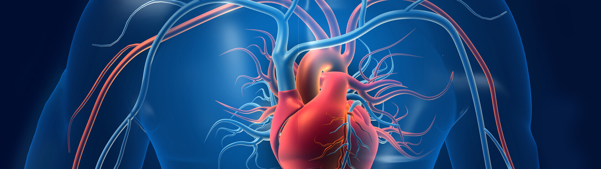 aorta-1266230179_Header