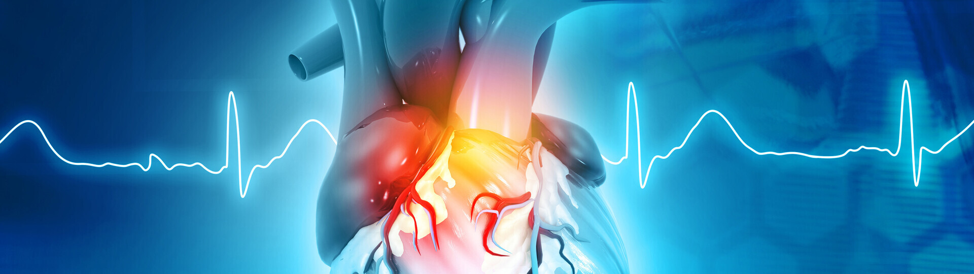 av-knoten-1205212219_Header