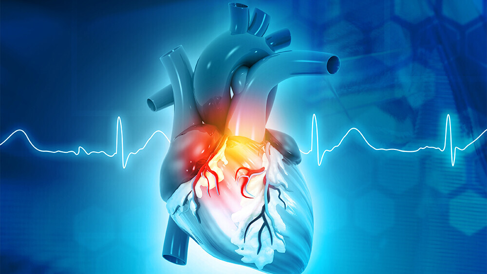 av-knoten-1205212219_Teaser