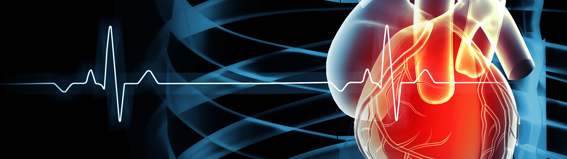 diastole-1604863702_Header