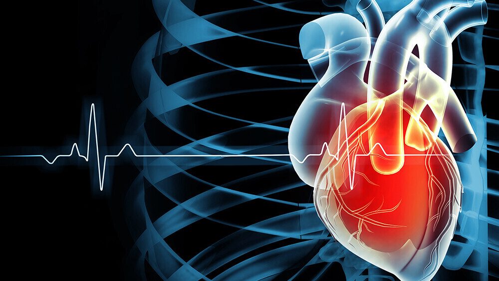 diastole-1604863702_Teaser