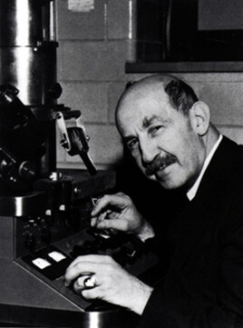 Bruno-Kisch