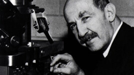 Bruno-Kisch