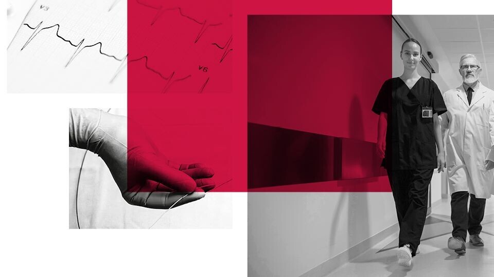 Jahresbericht_2024_der_DGK_1920x540