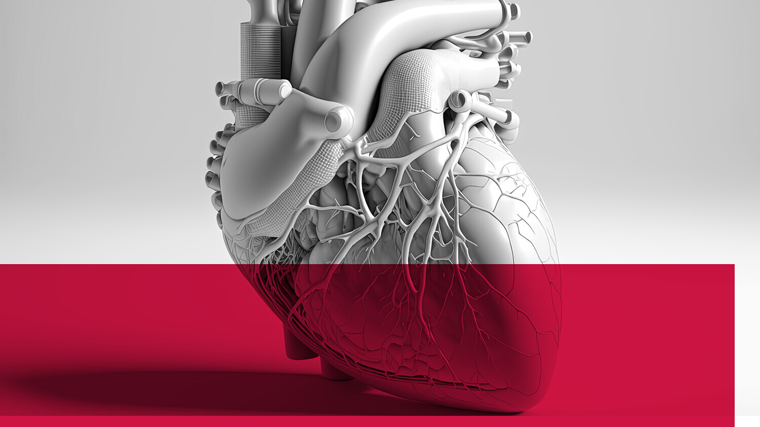 Anatomisches Herz in schwarz weiß
