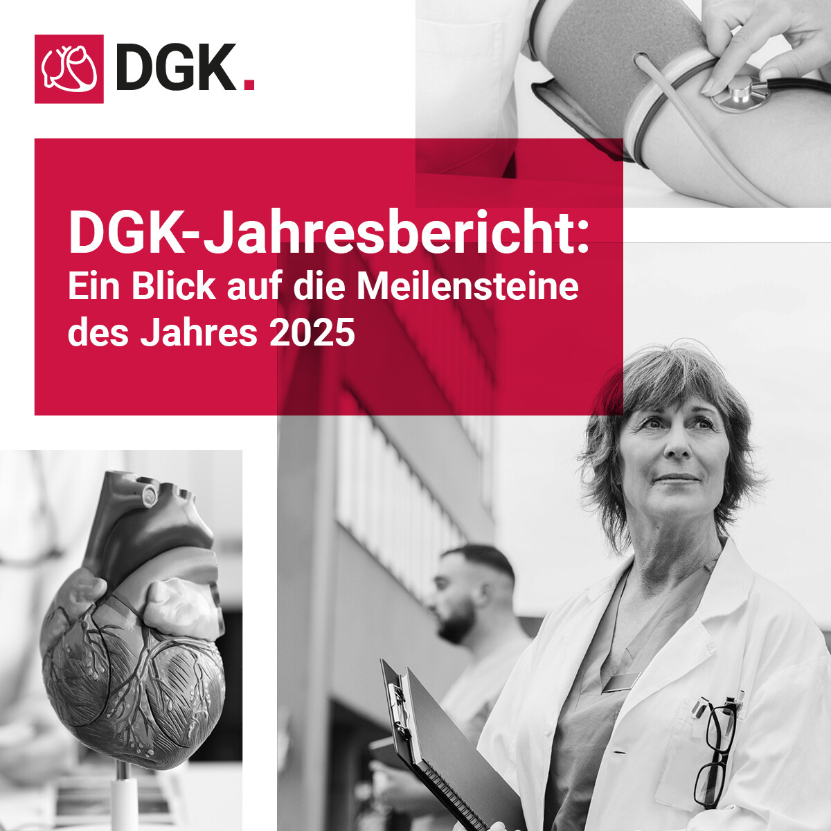 Deckblatt DGK Jahresbericht 2025