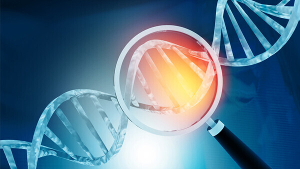 genetisches-screening-shutterstock-1423098449-600x338px
