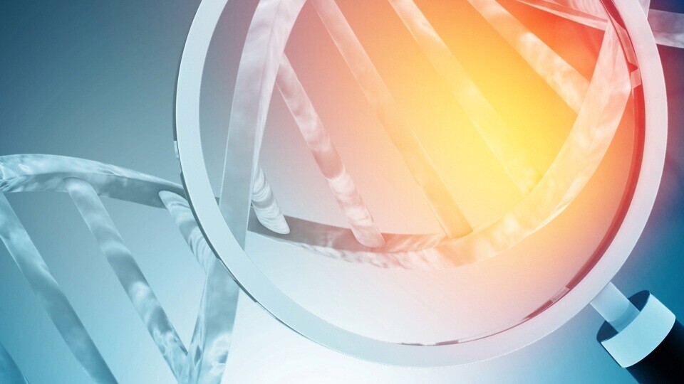 genetisches-screening-shutterstock-1423098449-32zu9-1920x540
