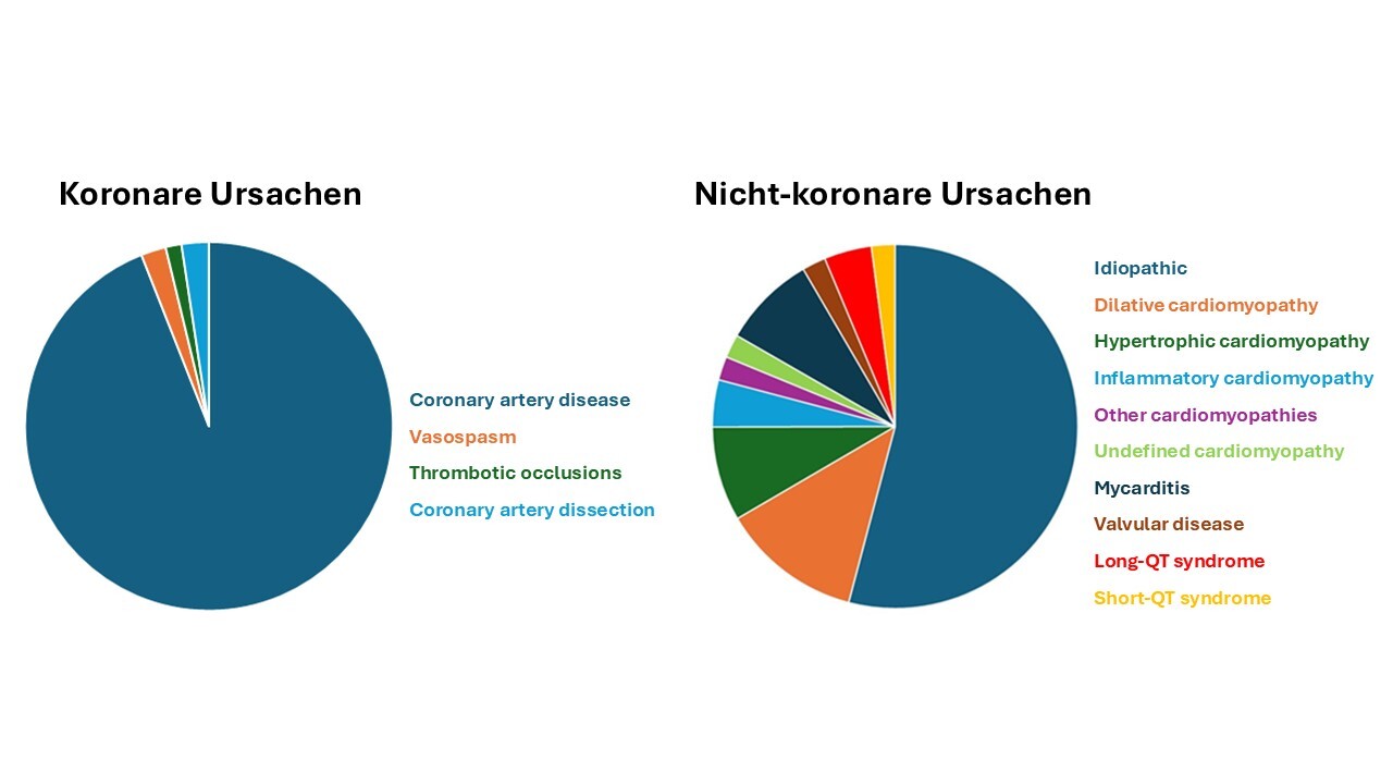 Abbildung Umstände beim plötzlichen Herzstillstand in einer jungen deutschen Kohorte
