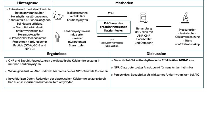 vogel-abstract-abbildung