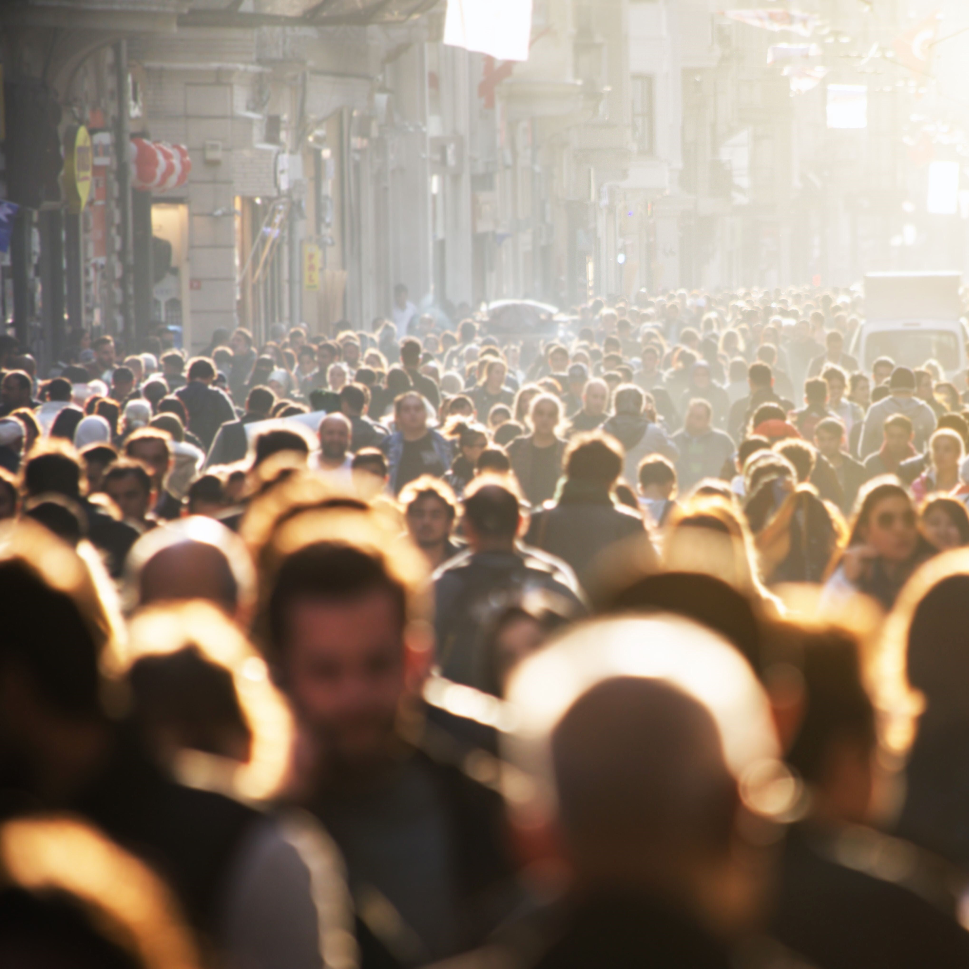 shutterstock-Aleksandr Ozerov_1435893959-1-1