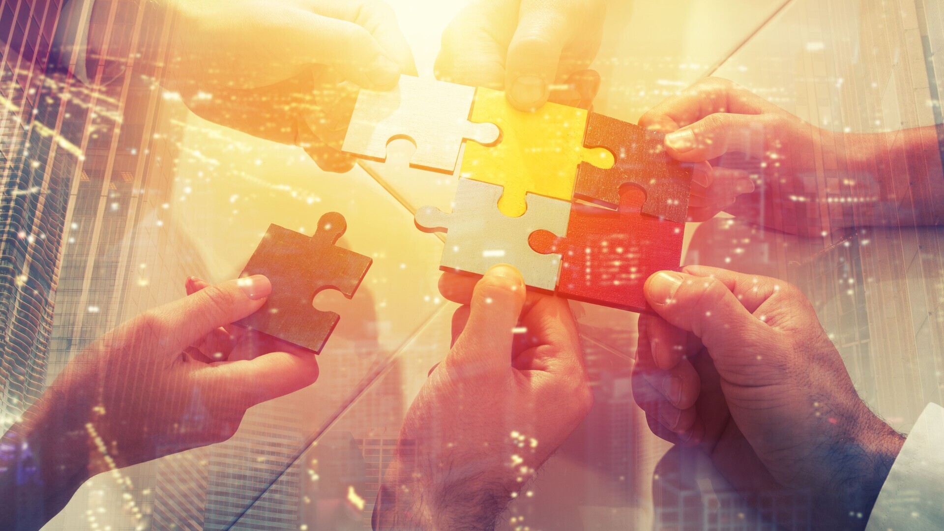 shutterstock-alphaspirit.it_767217892-1-1