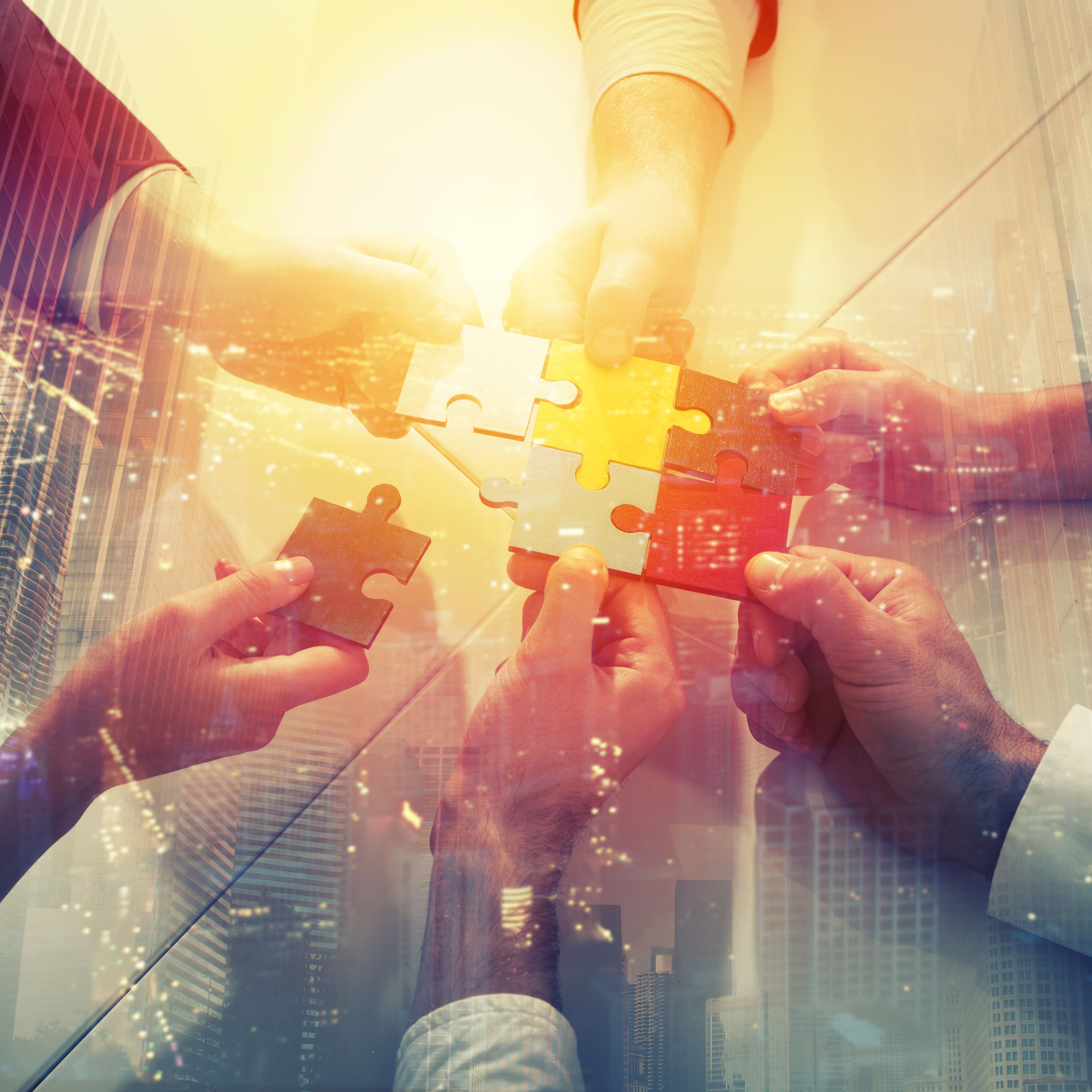 shutterstock-alphaspirit.it_767217892-1-1