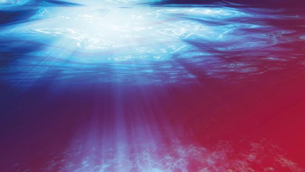 Quick Dive: Umgang mit Device-detektiertem Vorhofflimmern (DDAF)