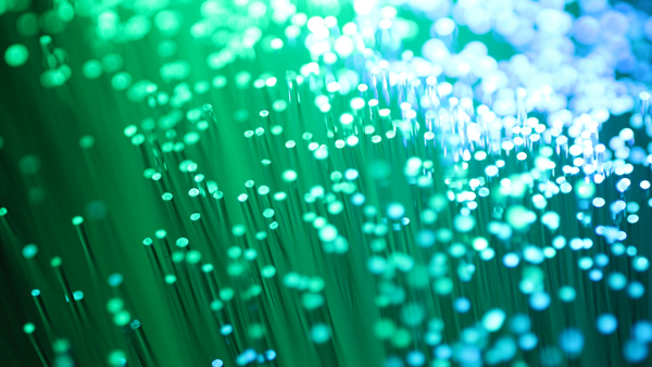 Digitalimpulse: KI & kardiovaskuläre Telemedizin