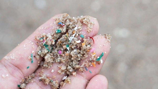 Mikroplastik an der Küste: Mehr Diabetes, KHK und Schlaganfälle