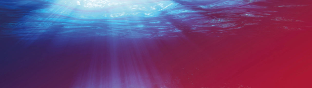 Quick Dive: Positionspapier zur kardiologischen Weiterbildung